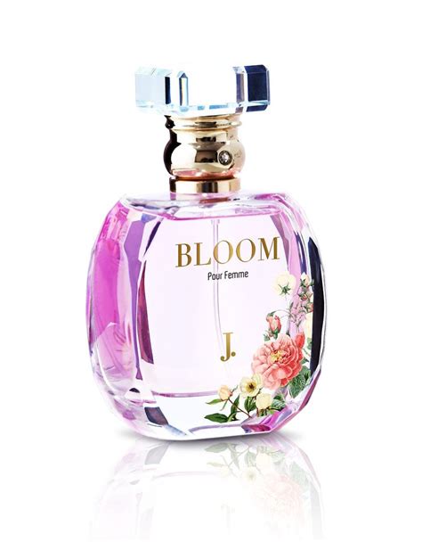 replica perfumes pakistan|pakistani perfumes for women.